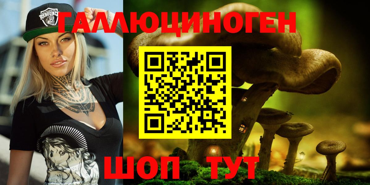 Коряжма  Галлюциногенные грибы ЛСД  Вход с VPN 